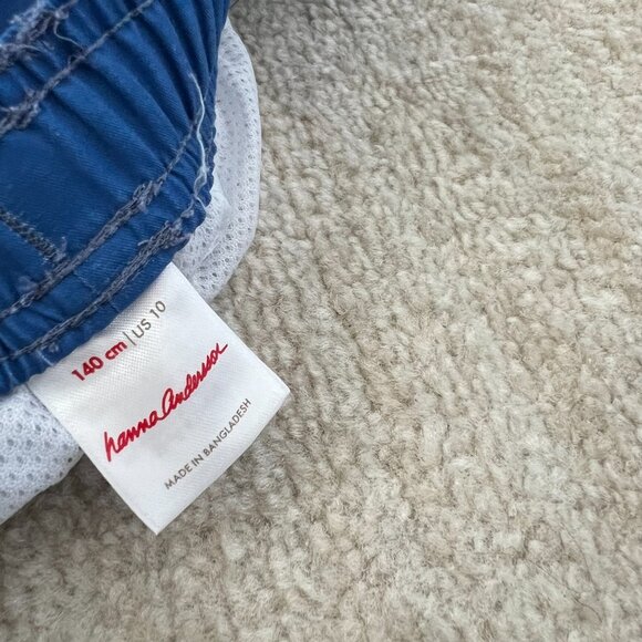 Hanna Andersson Boys Shark Stripe Blue Swim Shorts Trunks 10 - Picture 2 of 8